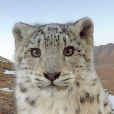 _WinterSnow_0's profile picture. Lvl 20👌🏼