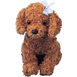 EKemushi's profile picture. beginner