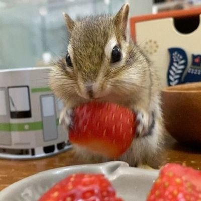 pitstawps's profile picture. professional yapper.