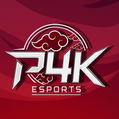 p4kesp's profile picture. powered by:@dubbyenergy code: play4keeps 10% esports/ organization /owned by:@jonny3kyt, @t_crock20, @decently__, @siriifx/ Est. 2025 #play4keeps
