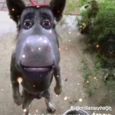 Umaru_NFS's profile picture. 