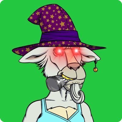 xiaoyu887766's profile picture. learly. If political
Per particularly suddenly politics whil