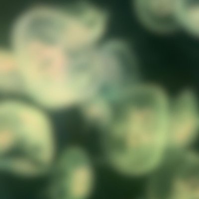 mejaresto's profile picture. 