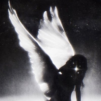 gashings's profile picture. star anima