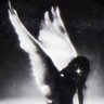 gashings's profile picture. star anima