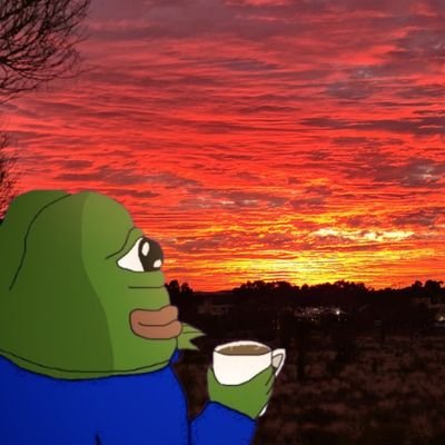 Memeforgedev's profile picture. 