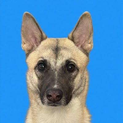 stefanjame38168's profile picture. 关注必回关！A Binance Life Together 一起币安人生 https://t.co/KNSZ7gjg7T