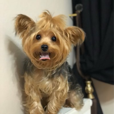 doraayberk's profile picture. 