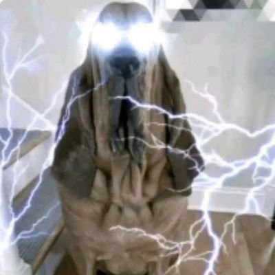 @II_P4nd0rA_II