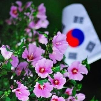 kim_ju31119's profile picture. 존경은 얻어지고, 정직은 소중히 여겨지며, 신뢰는 쌓이고 충성은 보답됩니다 ❤️