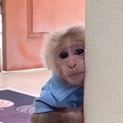 lilyaustenn's profile picture. 