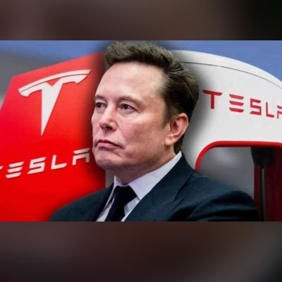 spaceprogra's profile picture. chief troll officer