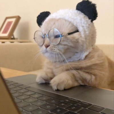 codeixx's profile picture. 13 | Learning & building projects | Rare ideas, simple code