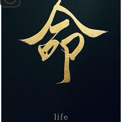 povkdoll's profile picture. 