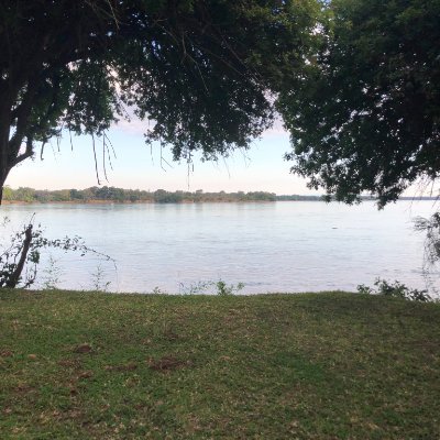 craneglogy's profile picture. 