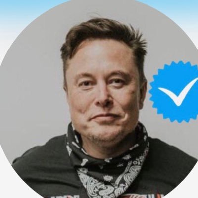 MrDoge_Official's profile picture. MAKE AMERICA GREAT AGAIN🇺🇸🇺🇸🇺🇸