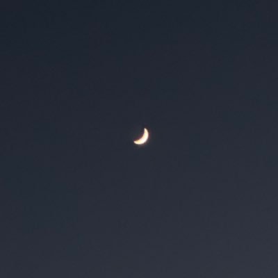 karato_0's profile picture. 