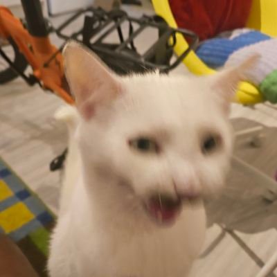 FIFA_1_4_6's profile picture. 