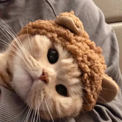 TonkatsuRamen88's profile picture. 