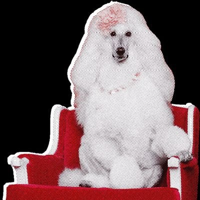 nrEJXRSkB834146's profile picture. 