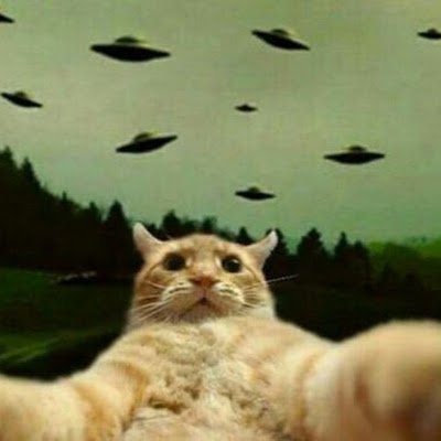 JTamayo5466's profile picture. 