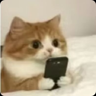 balalacassie's profile picture. 