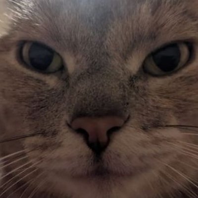 Len_gck's profile picture. https://t.co/exGzhPazqc