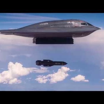 QTprofessor's profile picture. 