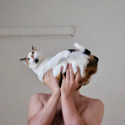 fido_node's profile picture. 