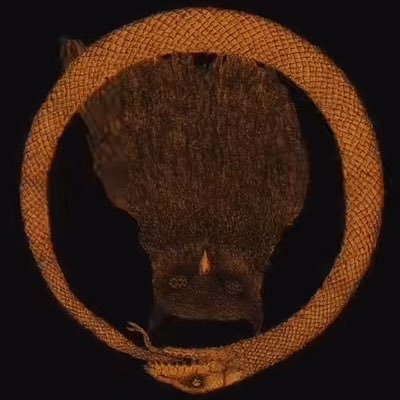 4yolkmooncake's profile picture.