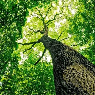 Kezation23's profile picture. Crypto content drafts | Web3 | Trading
Nitrograph