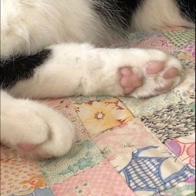 keiscreaming's profile picture. #studytwt 📓 and #yapptwt