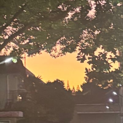 MBerriea's profile picture. 20↑/低浮上/