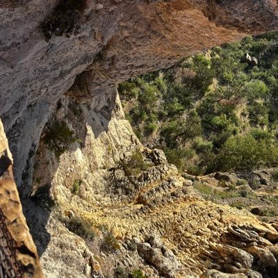 b2bahh's profile picture. god first