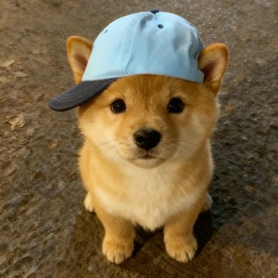 Sohuikak's profile picture. 