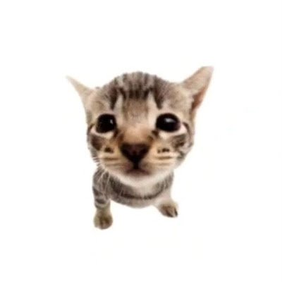 tangerinemolly's profile picture. Dandys world creepypastas wiki owner

Dandys world creepypasta Wiki server https://t.co/MmNDbMRaWy (120+ members, pretty active)