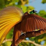 Elas09149350's profile picture. We provide automation software