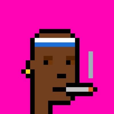 RitzCryptz's profile picture. 🐧