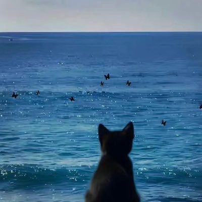 Jacksonshuaige's profile picture. 