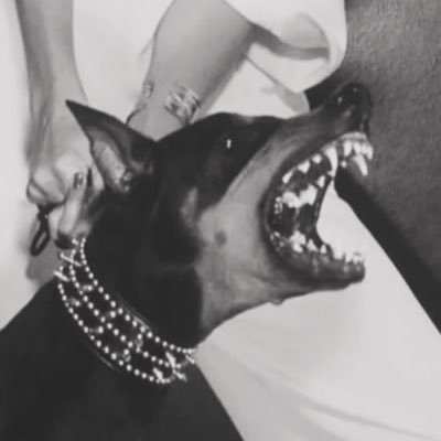 hofixbt's profile picture. 