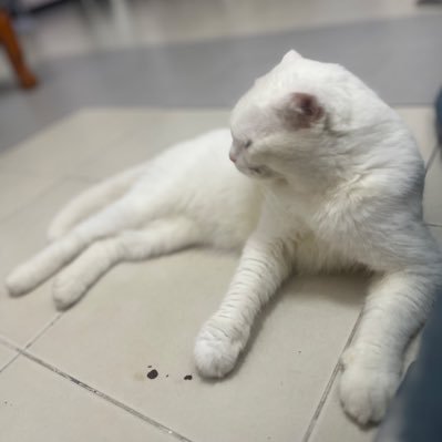 Adlerroger112's profile picture. 