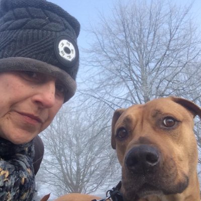 gemmahawkswort1's profile picture. Views my own RTs 4 free speech reasons, likes not endorsements Reg, contributor to radio/tv Bullies/trolls/nude mess senders BLOCKED
@gcdcmusic