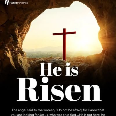 Simplify80m's profile picture. A TRANSHUMANIST,
BELIEVER@SMCDAO