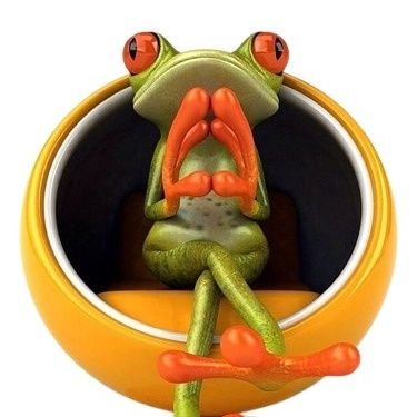 FrogBlitz24's profile picture. 👉 Welcome to @FrogBlitz 🐸💚
🌿 We share daily #frog content! 🐸📸
👉 Follow us if you really love frogs 🐸💚💤