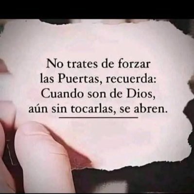 Lorenzo31219289's profile picture. 