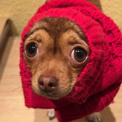 emis_arts's profile picture. 🏳️‍🌈/ digital art, crochet & knitting ✏️🧶/ 787