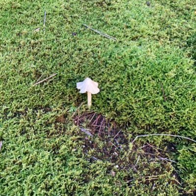 ittumi_'s profile picture. 岡グリ 76期 バリトン