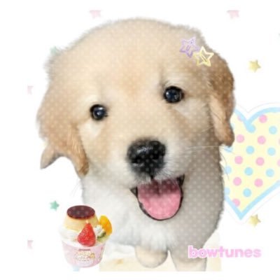 @qufkr0321