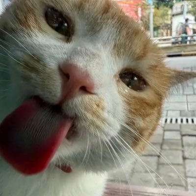 elsedour's profile picture. favorite march 04