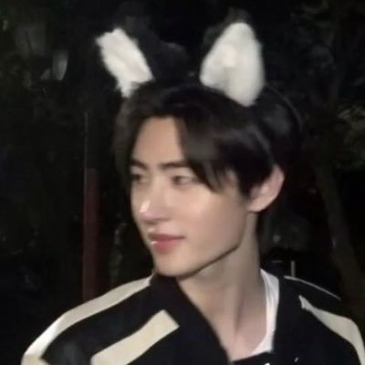 volpinoo's profile picture. suca